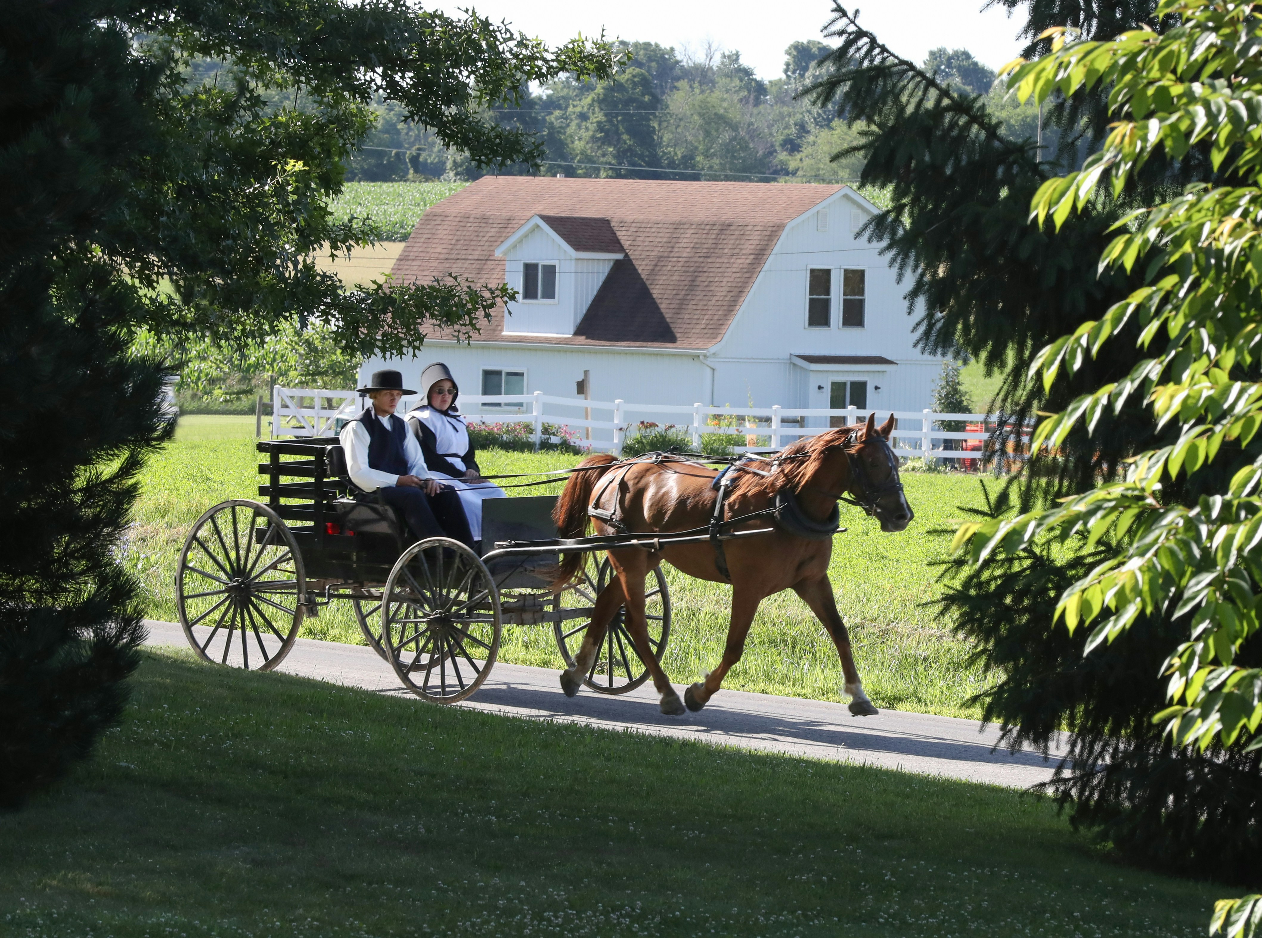 Horse-drawn buggy traveling along a rural road in Lancaster County, Pennsylvania